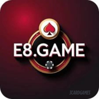 E8 Game